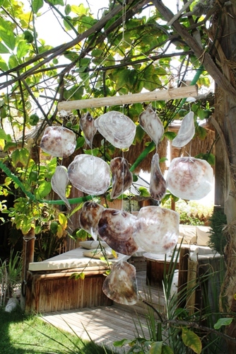 מוביילים צדפים