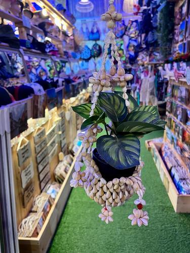 מובייל צדפים