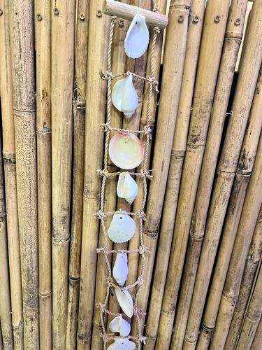 מוביילים צדפים