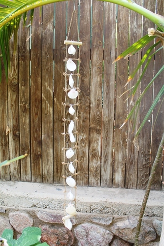 מוביילים צדפים