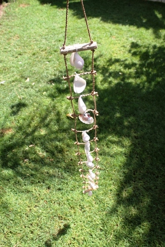 מוביילים צדפים