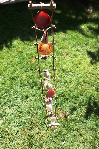 מוביילים צדפים