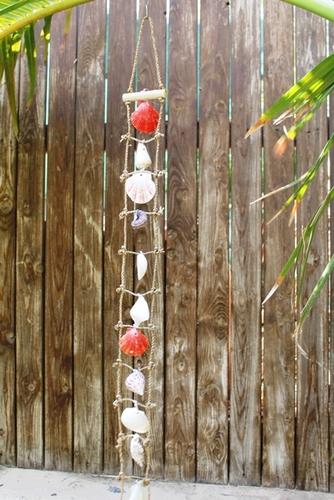 מוביילים צדפים