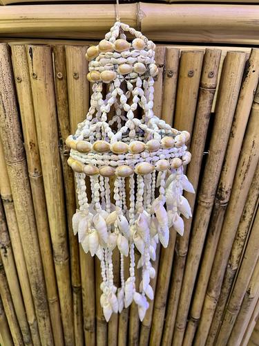 מוביילים צדפים