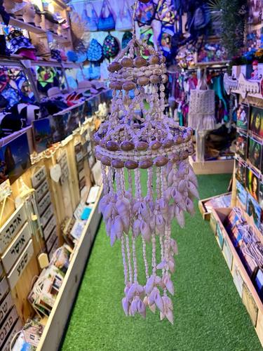 מוביילים צדפים