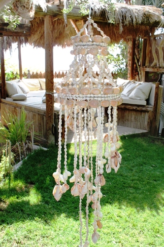 מוביילים צדפים