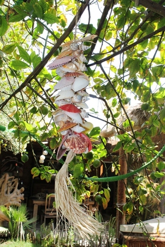 מוביילים צדפים