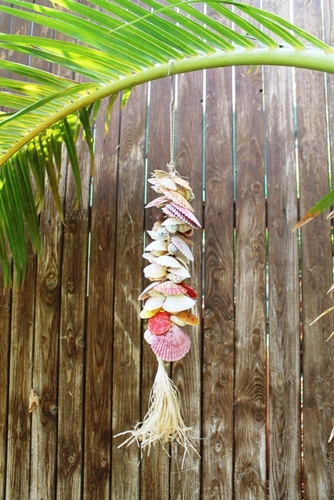 מוביילים צדפים