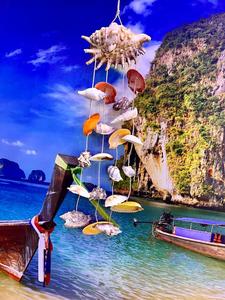 מוביילים צדפים