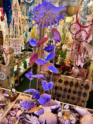 מוביילים צדפים