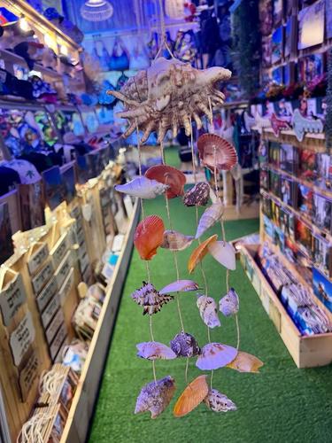 מוביילים צדפים