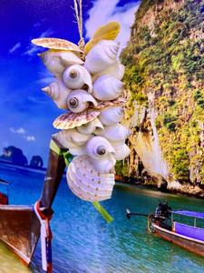 מוביילים צדפים