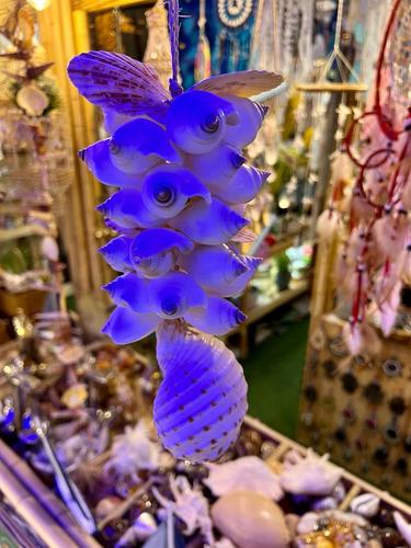 מוביילים צדפים