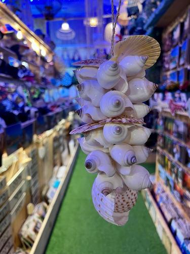 מוביילים צדפים