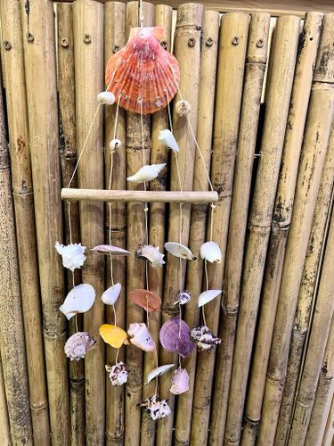 מובייל צדפים