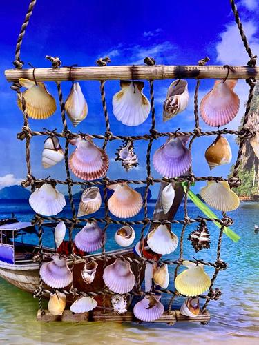 מוביילים צדפים