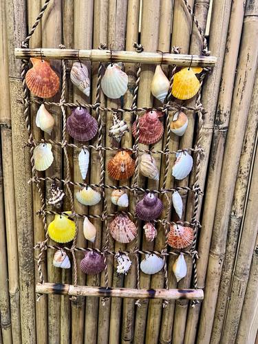 מוביילים צדפים