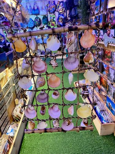 מוביילים צדפים