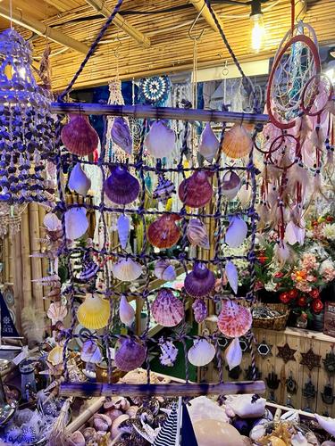 מוביילים צדפים