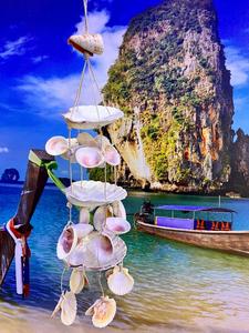 מוביילים צדפים