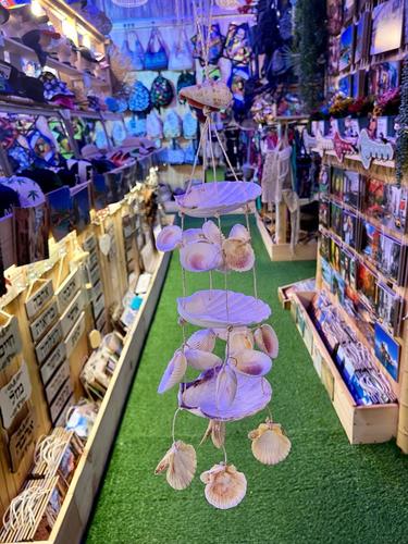 מוביילים צדפים