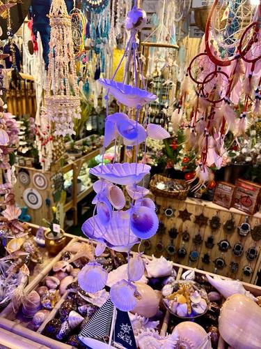 מוביילים צדפים