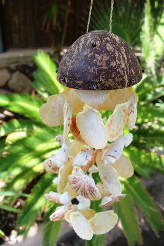 מוביילים צדפים