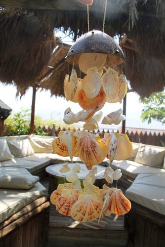 מוביילים צדפים