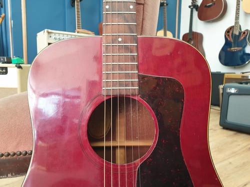 Guild D-25 1972