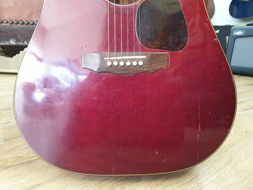 Guild D-25 1972
