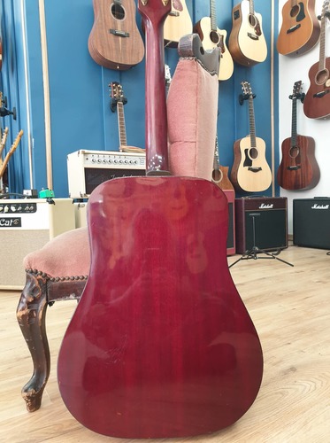 Guild D-25 1972