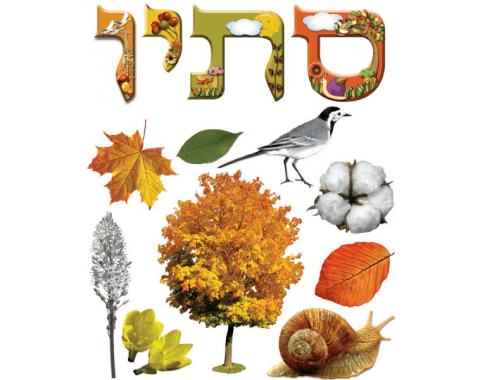 כרזה - 