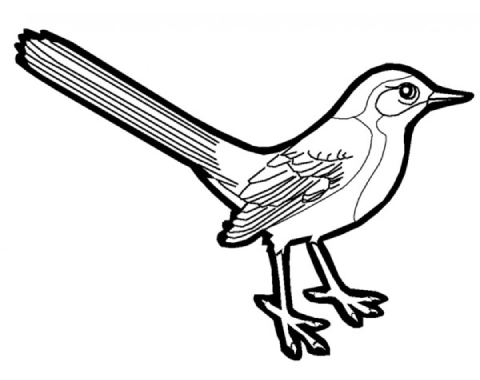 נחליאלי לצביעה וקישוט - 36 יח'