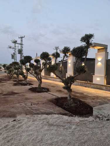 תמונה להמחשת יישום בפרויקט מלון הבוטיק 