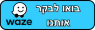 וויז