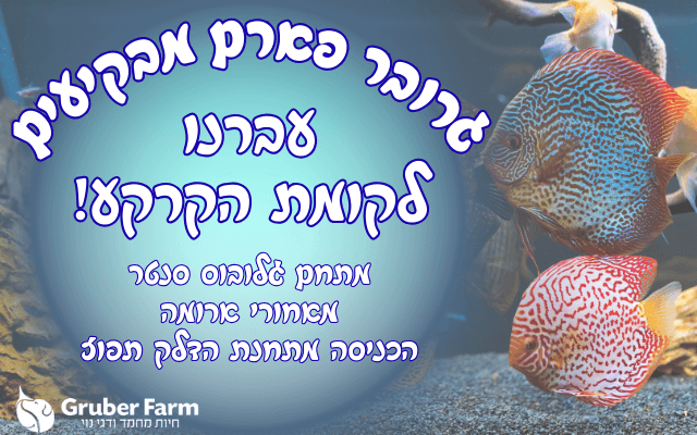 סניף גרובר פארם מבקיעים עבר למיקום חדש!