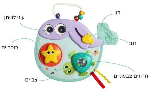 משחק ולוח עם 6 פעילויות - לוויתן