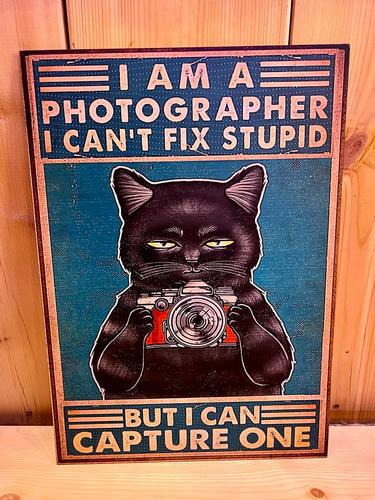 אוהבי חתולים