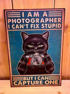 אוהבי חתולים