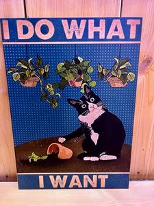 אוהבי חתולים