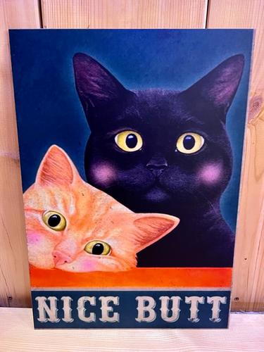 אוהבי חתולים