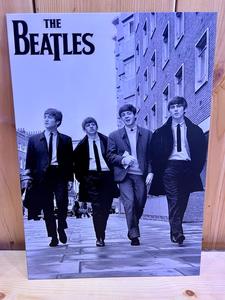 אוהבי מוזיקה