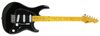 גיטרה חשמלית Peavey Raptor® Custom BLACK