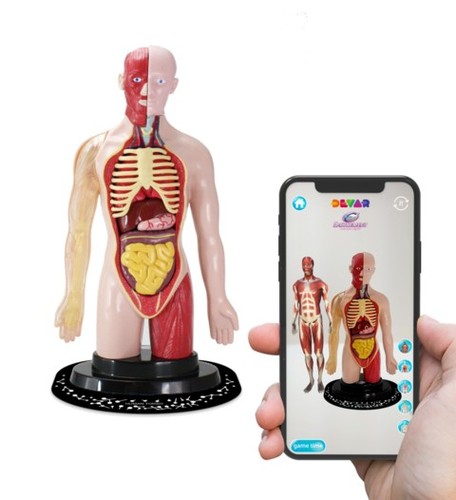 ערכת גוף האדם מסדרת המדען החכם: ללמוד איך גוף האדם פועל לילדים מגילאי 8 ומעלה