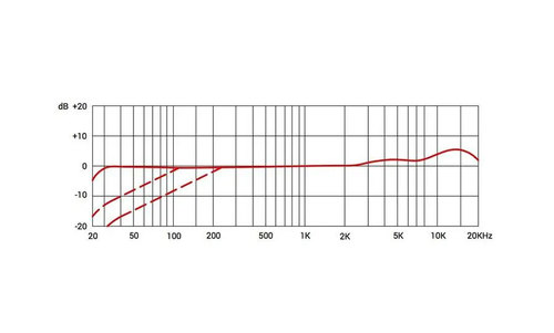 מיקרופון קונדנסר sE Electronics 2200