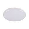 צמוד תקרה DISCO 24W IP64 קוטר 28 - CCT