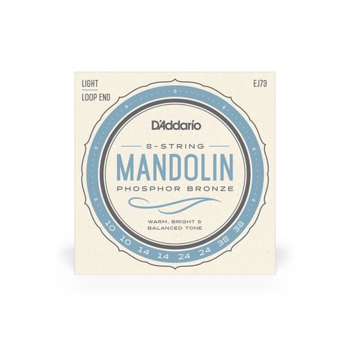 D'Addario EJ73 Mandola Set