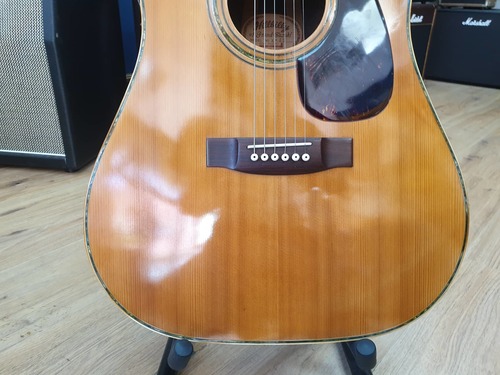 ギター Hillbilly W-45 HILLBILLY W-45 | つくば自由が丘STUDIO