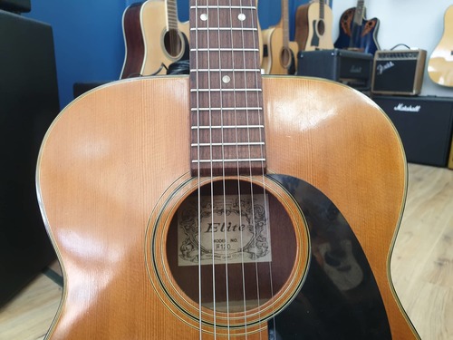 Takamine Elite F120 OOO 1973 JAPAN