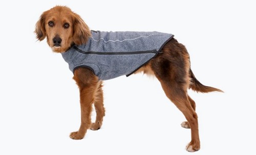 ™Hemp Hound